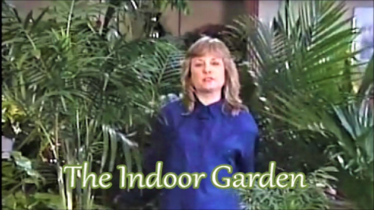 How to Grow Palms Indoors: Featuring 7 Authentic Palms and One 