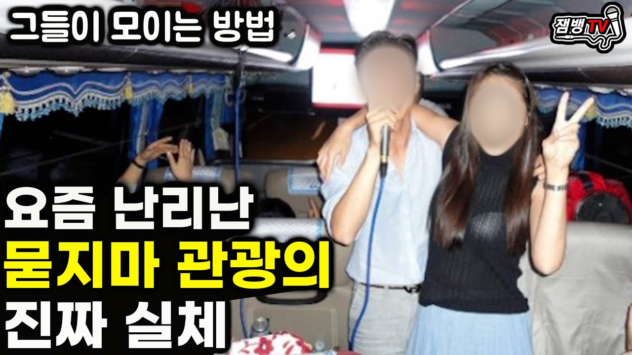 듣고도 믿기힘든 묻지마 관광의 실체와 관광버스기사가 극한직업인 이유