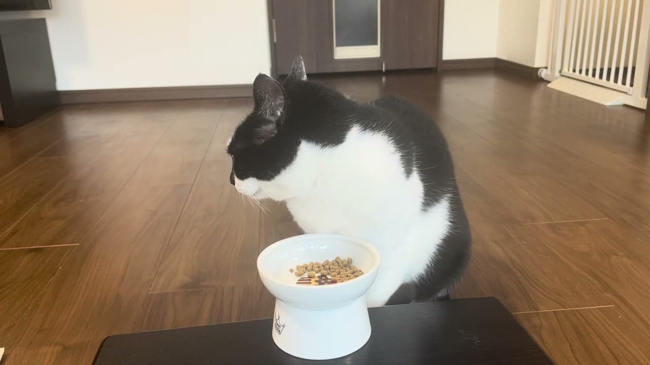 1753 20260124 夕食 Enjoy your meal, Bon appetit