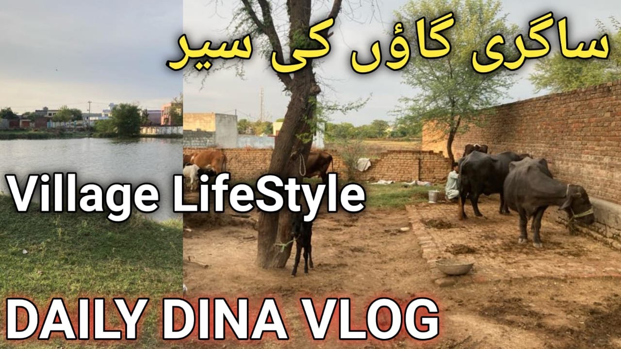 Sagri Gao Ki Sair|Village Life In Pakistan|My Morning Routine|Village Life