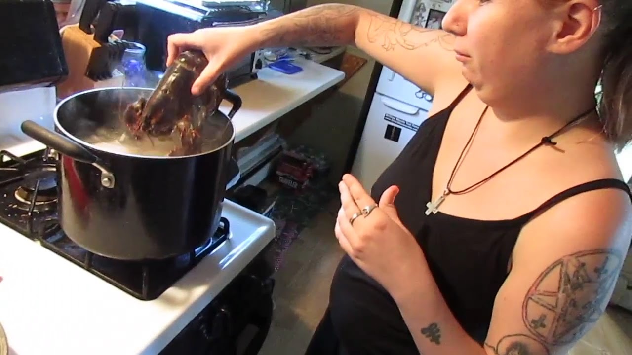 Boiling Bob, A tale of lobster cooking pt2