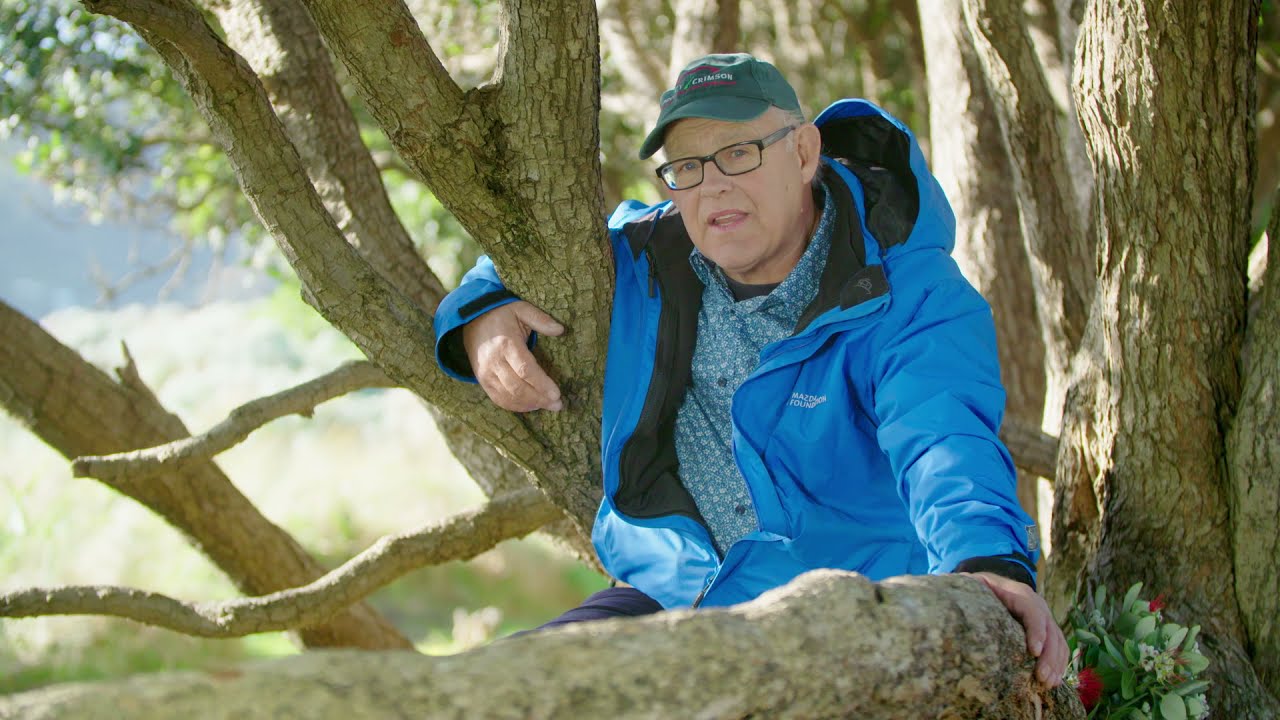 MPI: Myrtle Rust video with Ruud Kleinpaste