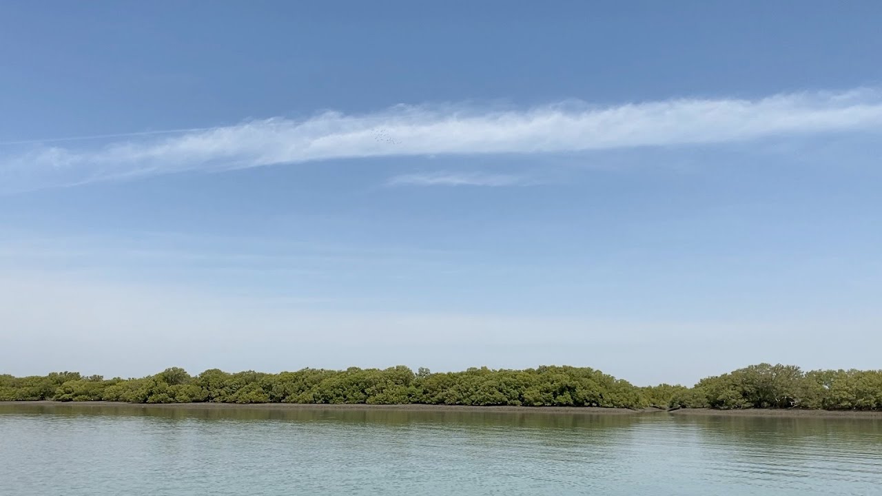 Exploring Karachi's Mangrove Creeks