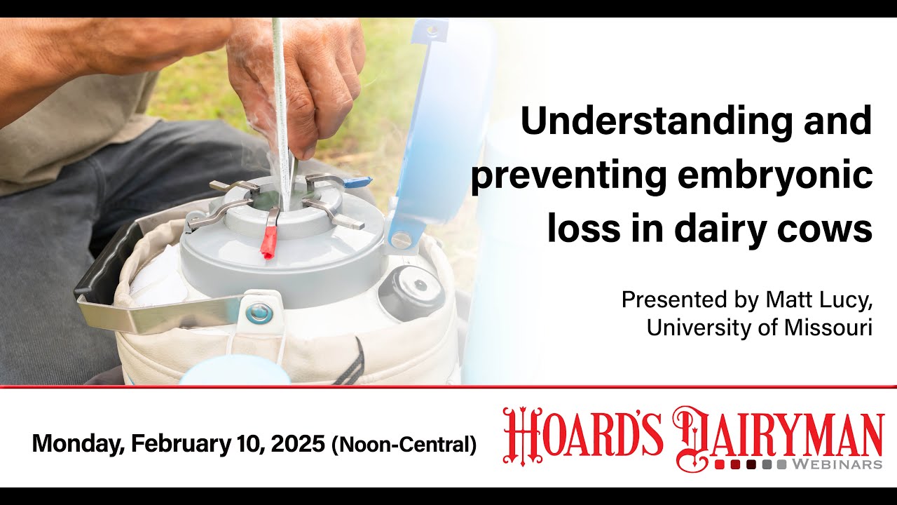 Webinar: Understanding and preventing embryonic loss in dairy cattle