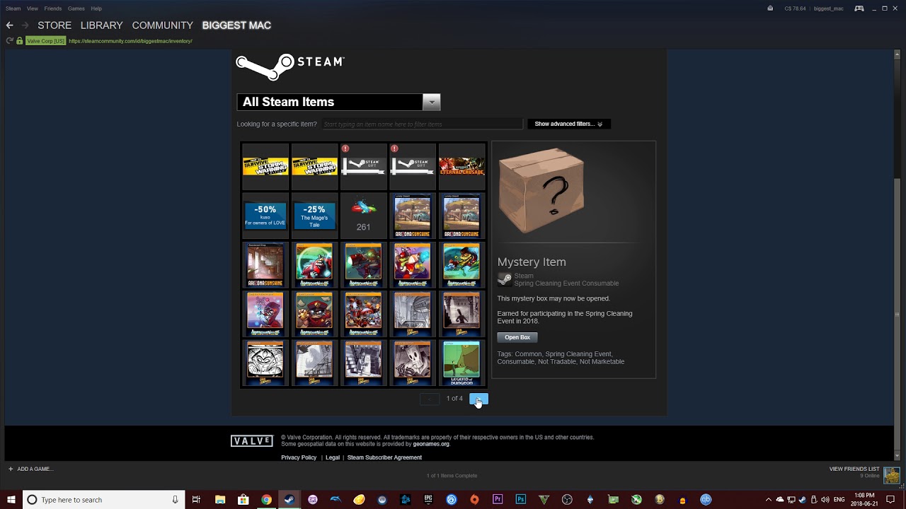 What is in the Steam Mystery Item Box?