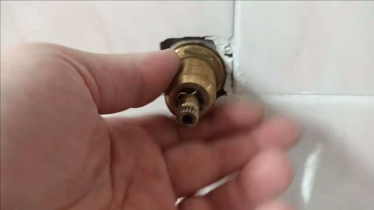 Riparo gratis lo scarico del WC (passo rapido)