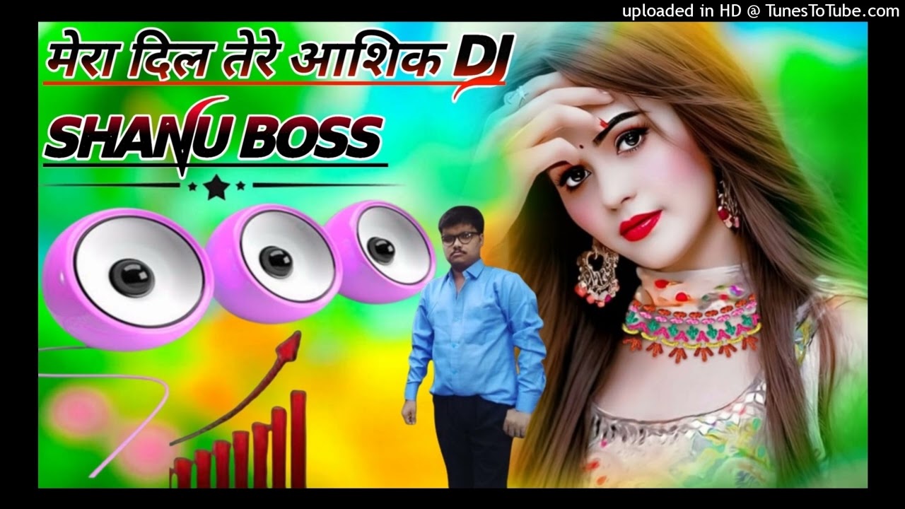 mera dil tere Ashik dj