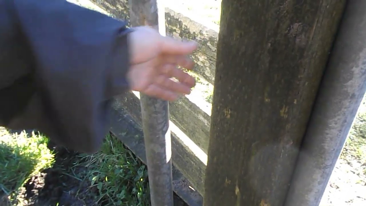 Hidden Hazards With Goats Part 1