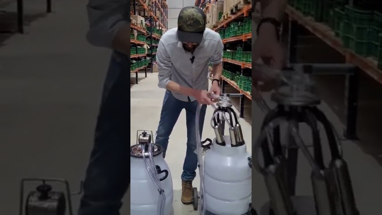 ORDENHADEIRA COMO FAZER A HIGIENIZAÇÃO CORRETA