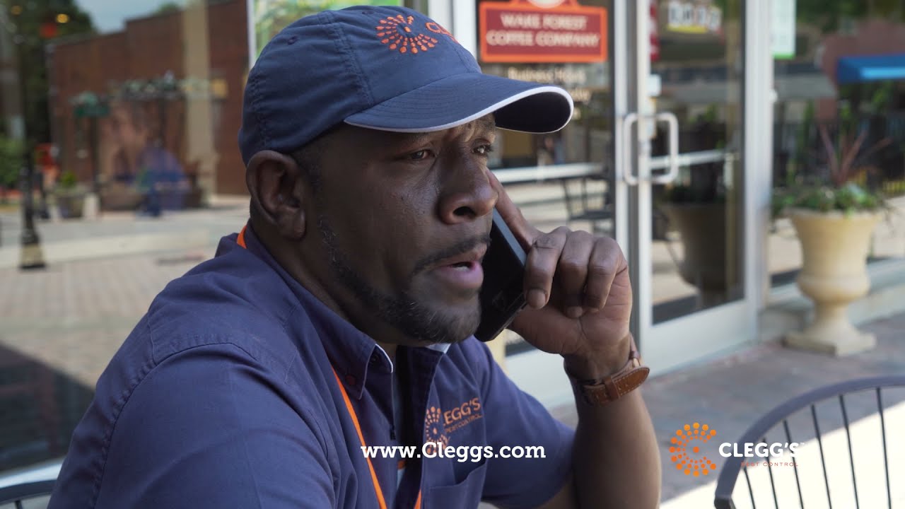 Clegg's Pest Control - Your Local Pest Control Heroes