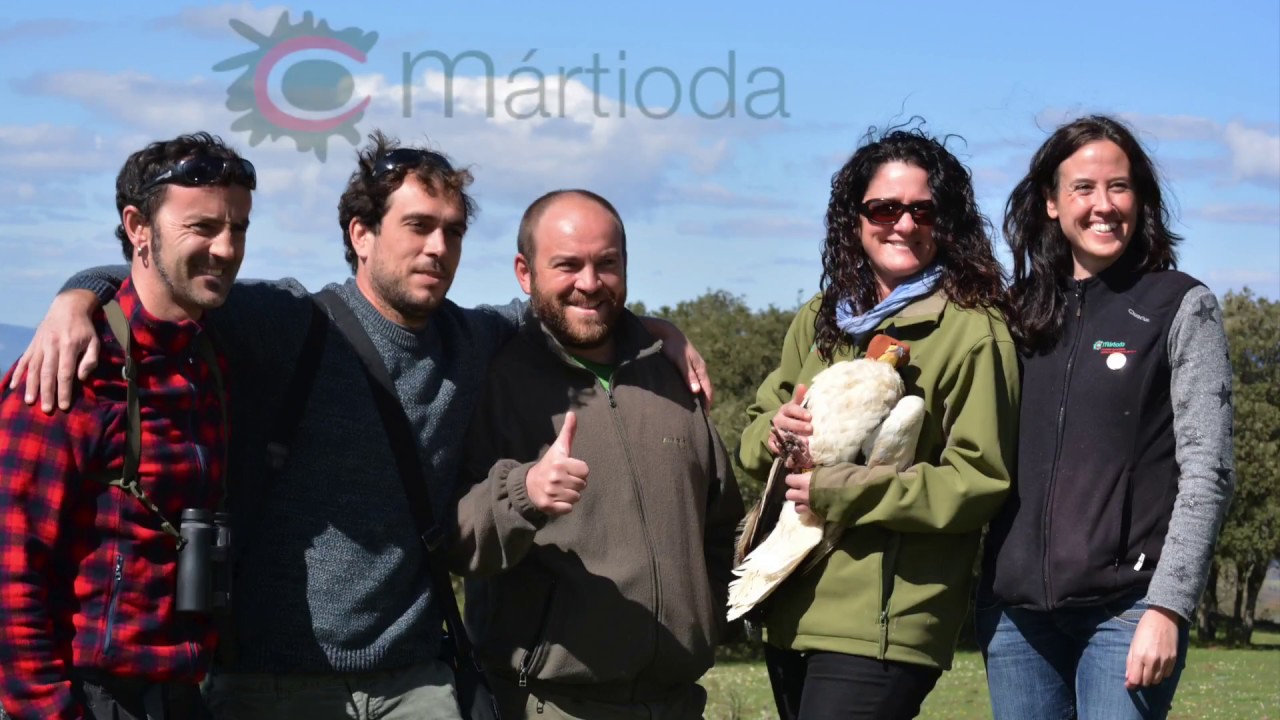 M&aacute;rtioda, ayuda animal