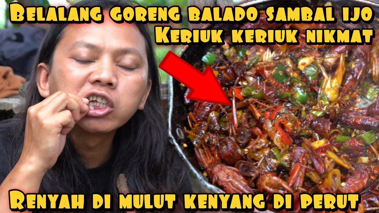 UDANG DARAT BALADO SAMBAL IJO RENYAH KERENYES BIKIN NAGIH