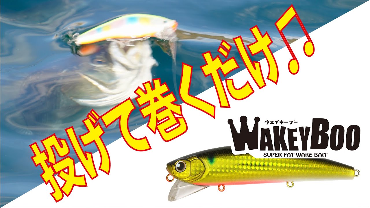 ブーちゃんに大型シーバスが何匹も追ってくる衝撃のバイトシーンの数々。こんな体験してみませんか？【LONGIN】