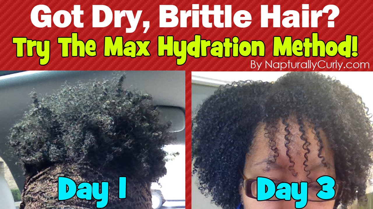 Max Hydration Method Results After 3 Days (Wash and Go)