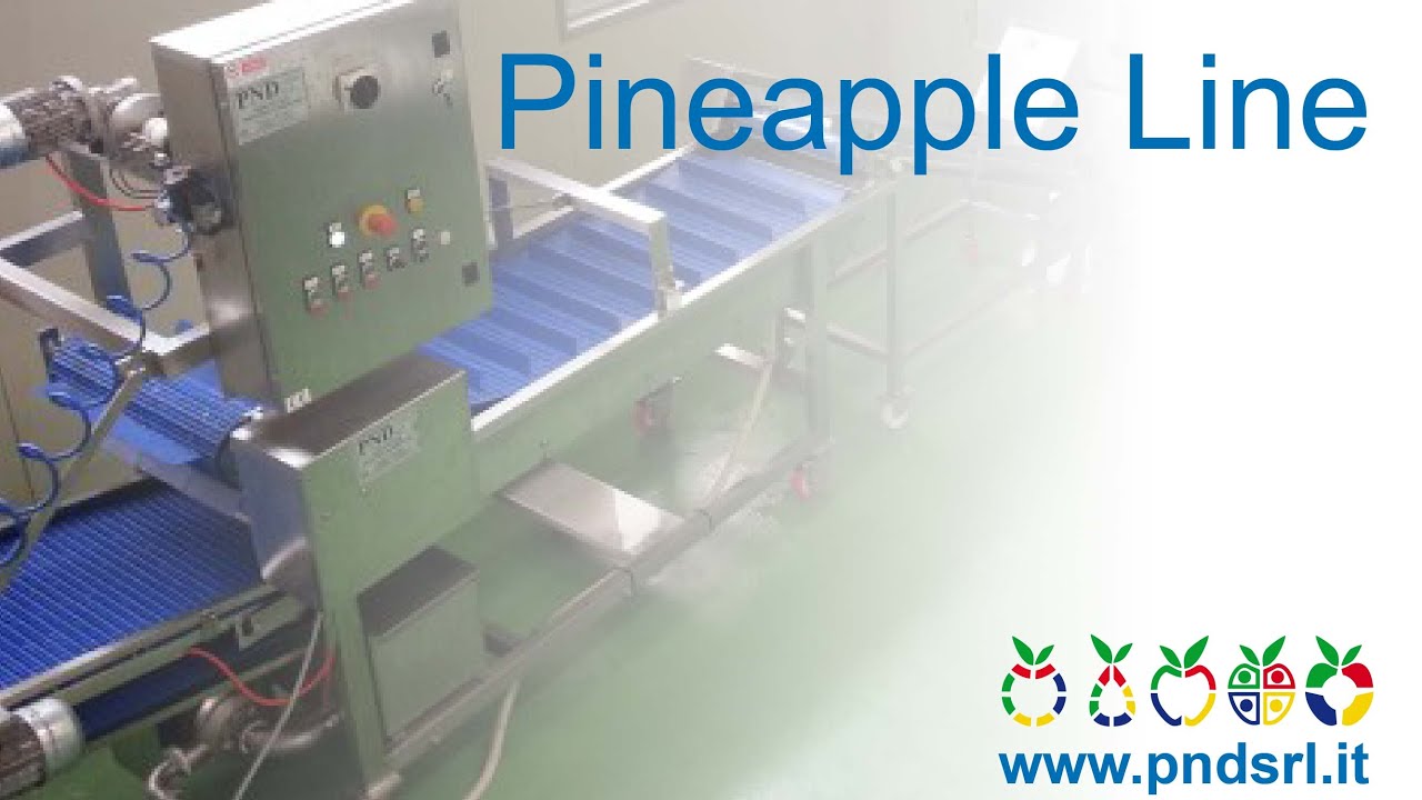 Pineapples machine - processing line