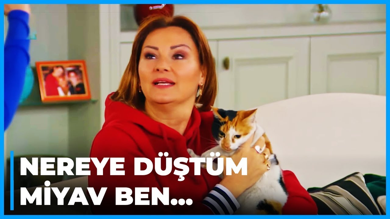 Meltem ve Haluk Kedi Sahiplendirdi | Çocuklar Duymasın 70. Bölüm
