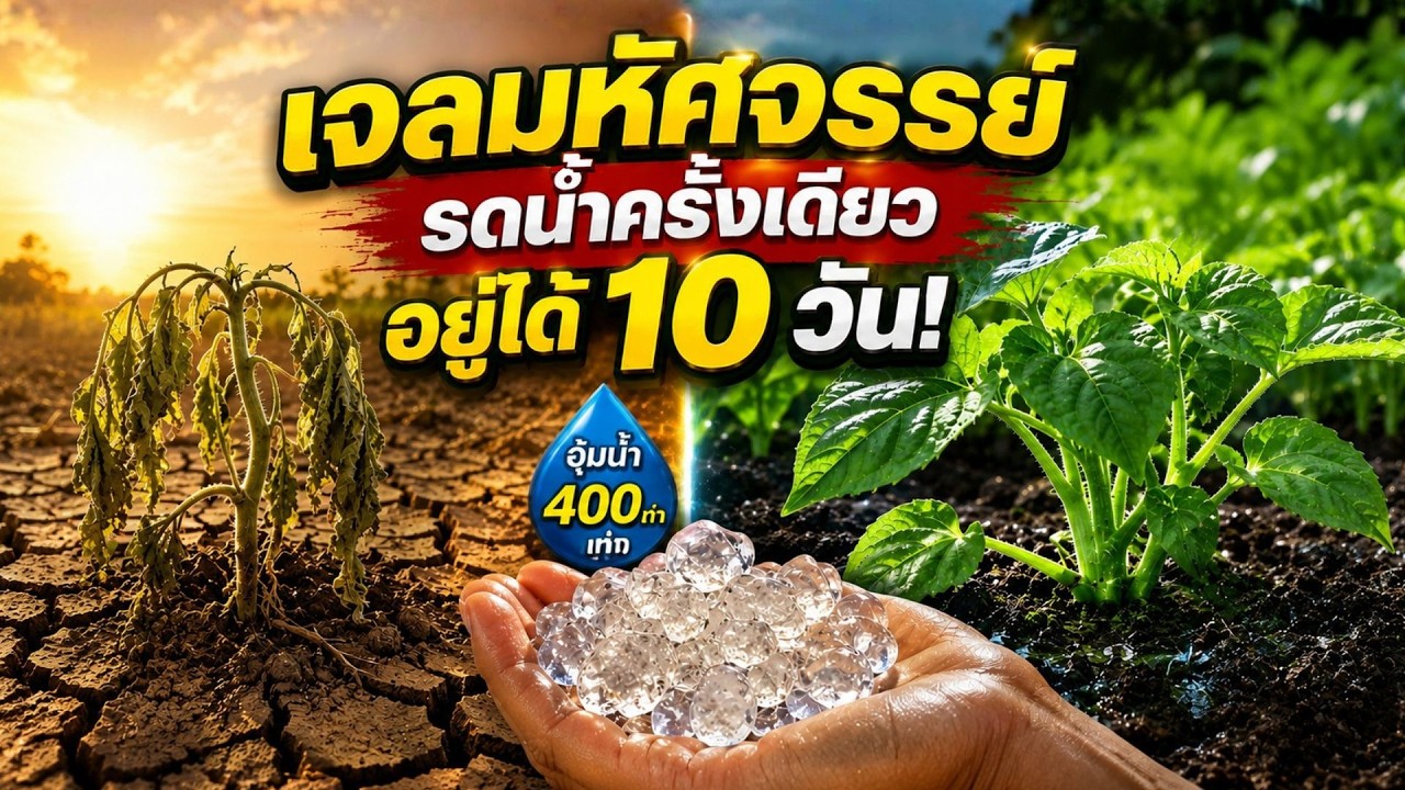เจาะลึก 