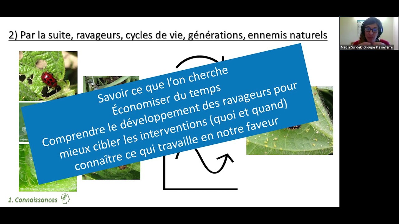 Le coffre à outils des conseillers en GIEC (productions horticoles)