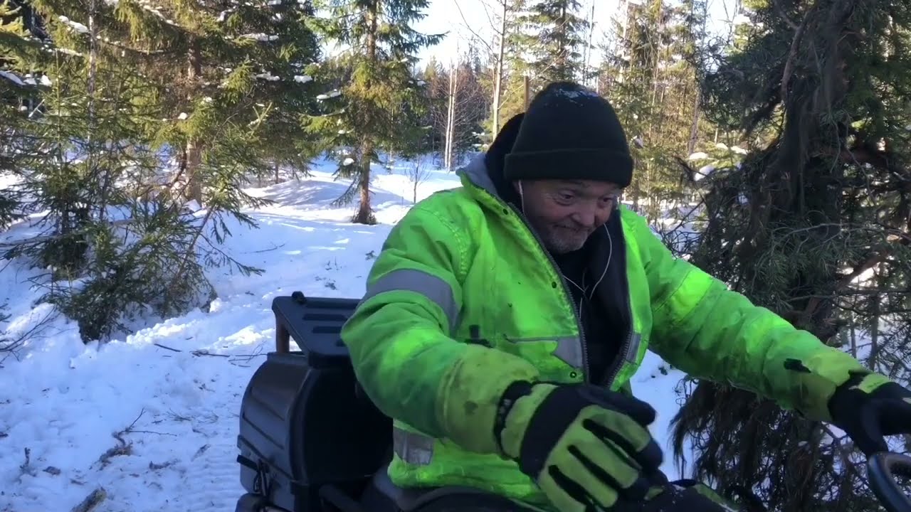 Hauling a 28' log with a snow mobile and sled in the Arctic forest for the sawmill building beam