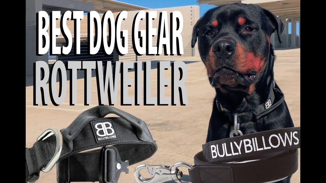 Best Dog Gear - Rottweiler - Bully Billows