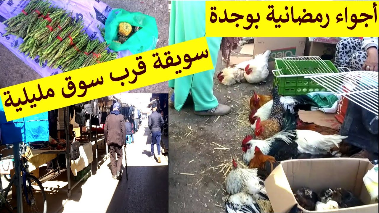 اجواء رمضانية بمدينة وجدة اليوم السويقة قرب سوق مليلية   البيض و الدجاج والسكوم والبقولة