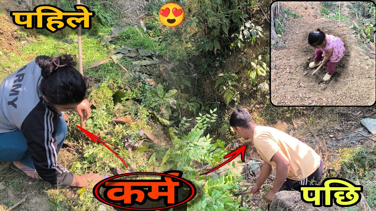  दुई बर्ष पुरानो बारि क्लियर पारियो ??😍😍@Dipakvlog-s5q #chhinchu #vlog #new 
