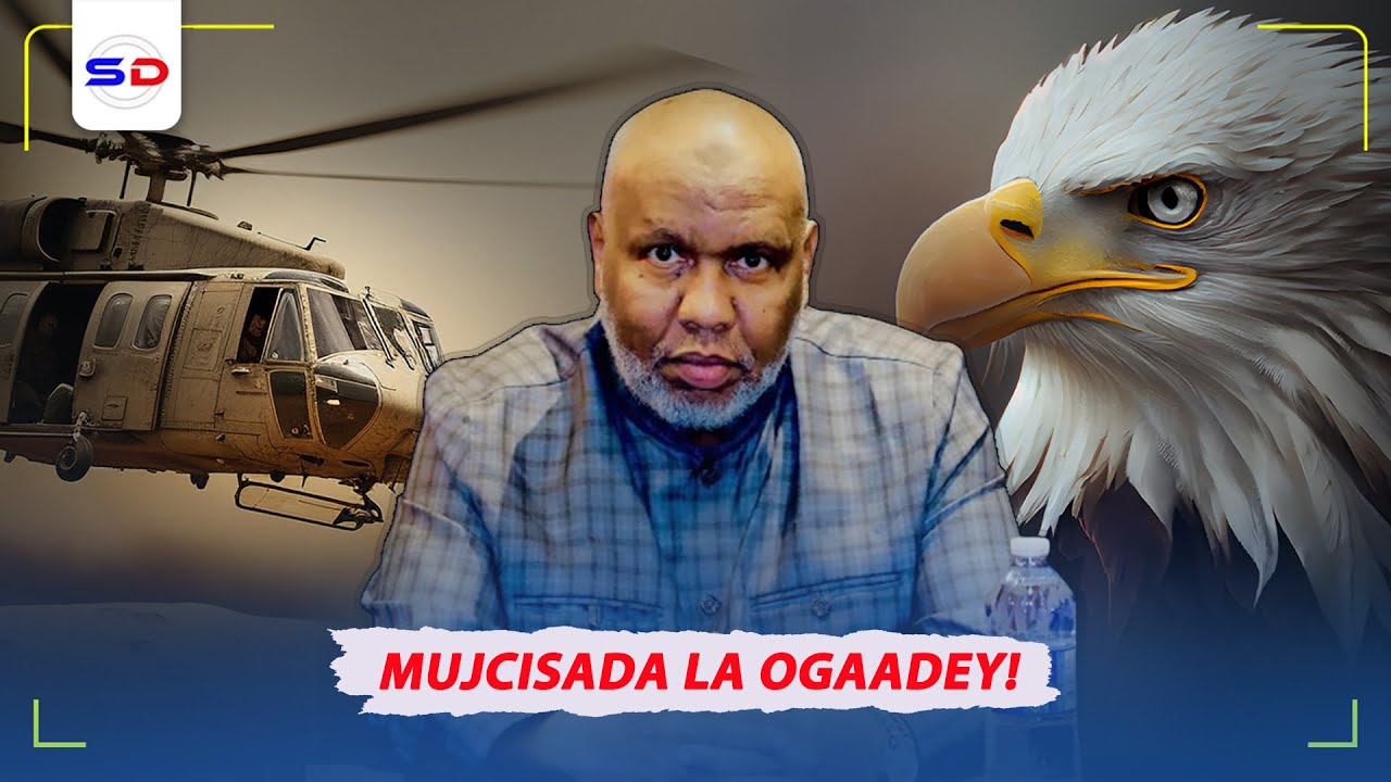 4 Mucjiso oo Cajiiba oo Laga Ogaadey Nidaamka Shimbiraha | Sh Cabdiraxmaan Bashiir