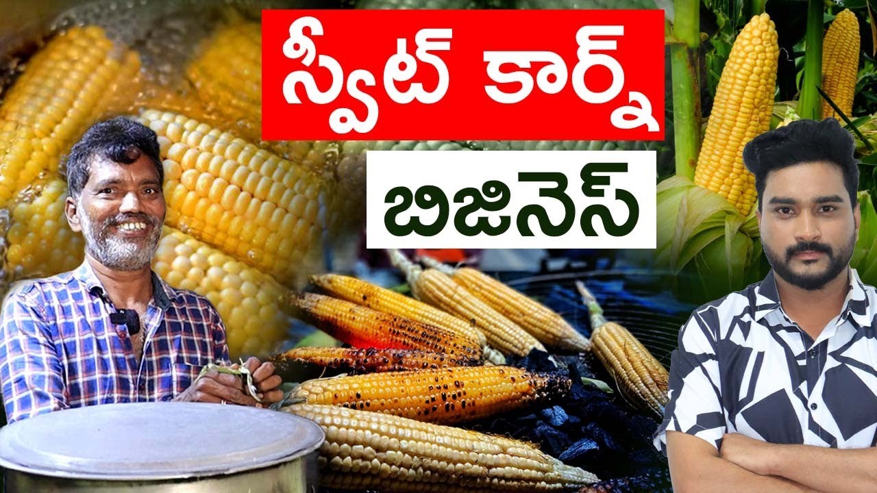 Sweet Corn Business in Telugu | Best Street Food Business | Low Investment Business