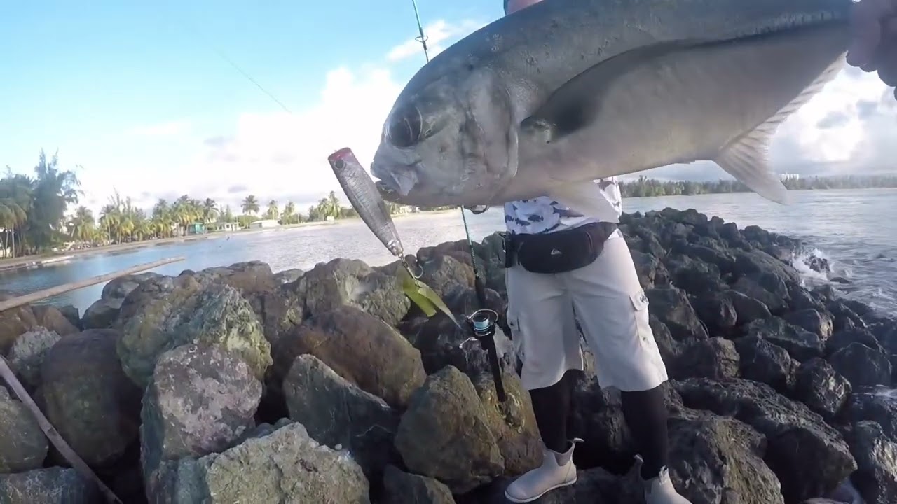 rock fishing en punta salinas puerto rico  🇵🇷