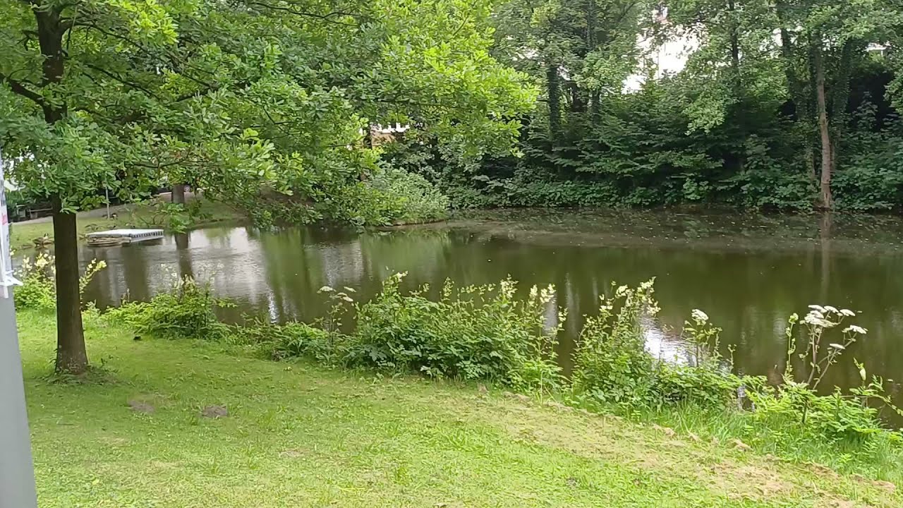 Teich Uhlandstraße /Johannistal  Bielefeld 05.07.2025