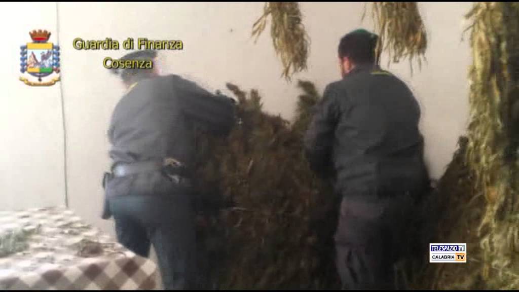 Operazione Guardia di finanza Cosenza