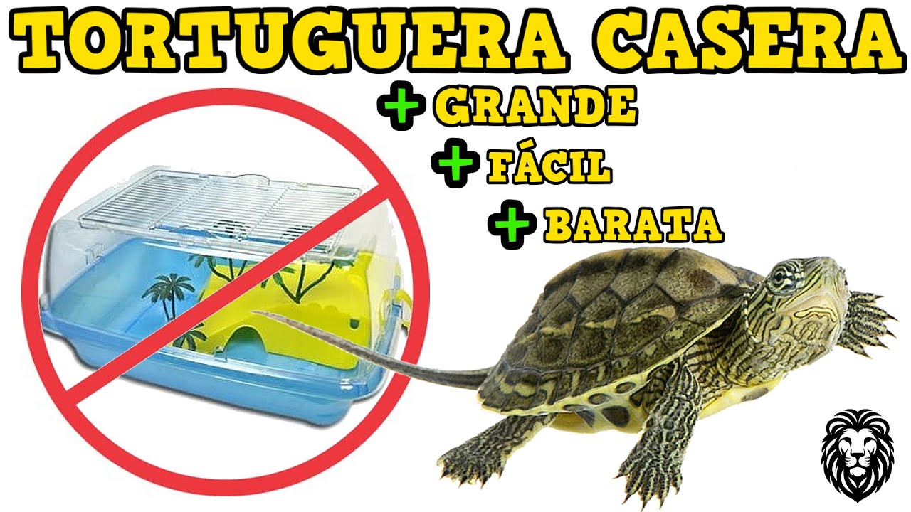 COMO HACER UN TERRARIO CASERO Tortugas de agua | Reino Animal
