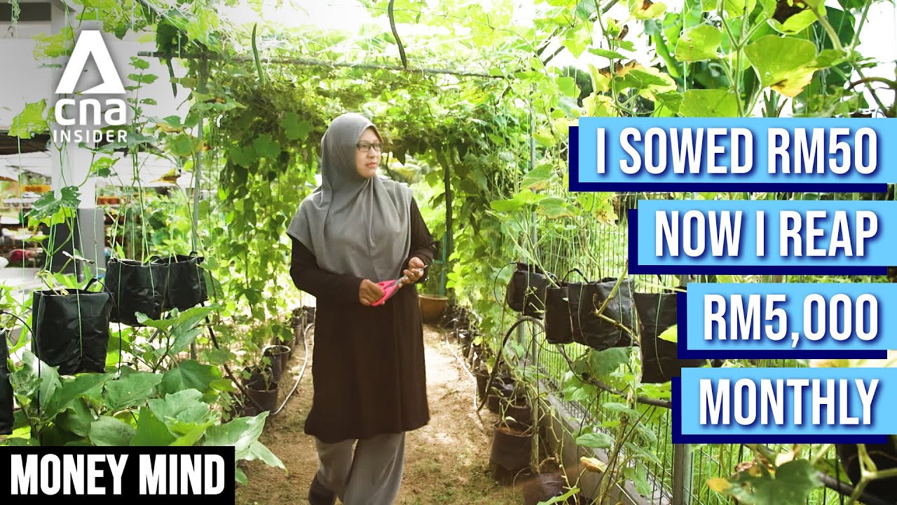 What I Sell In My Garden To Turn A RM50 Investment Into RM5,000 A Month | Money Mind