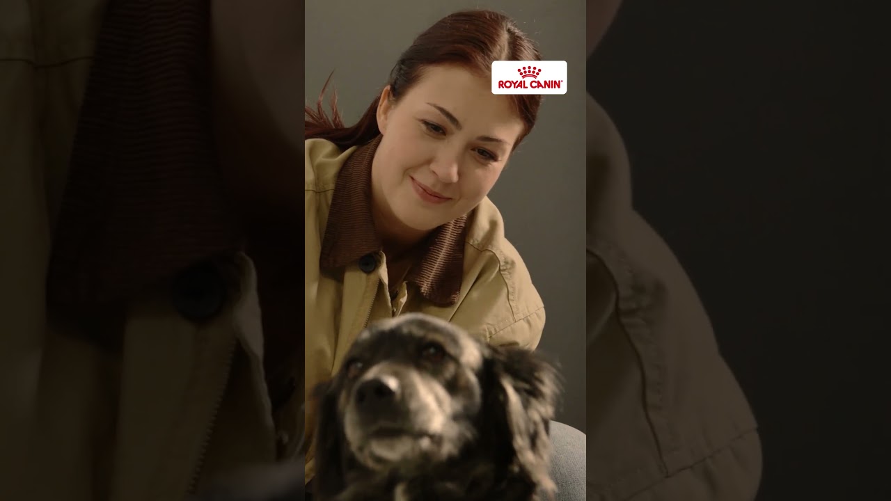 Prawdziwa historia Phoebe - droga do zdrowia i szczęścia z Royal Canin