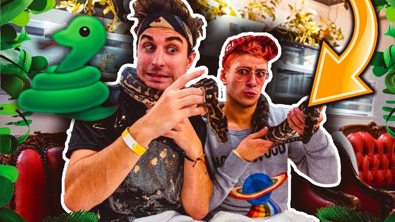ANIMA, ST3PNY, SURRY E KLAUS NEL BAR DEI SERPENTI A TOKYO! Vlog Giappone