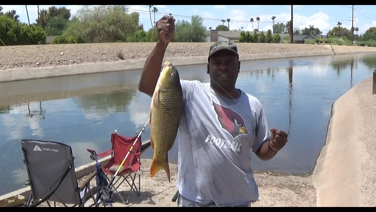 Fishing for COMMON CARP in Phoenix Arizona