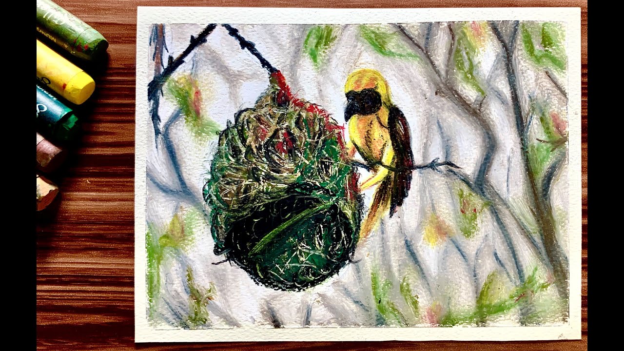 Weaver Bird with Nest - Oil Pastels Drawing Tutorial - Step by Step