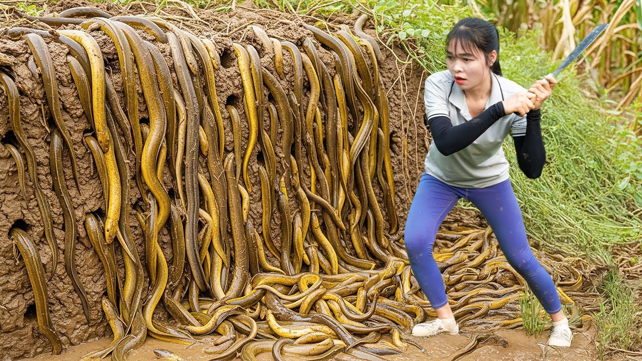 Mãe solteira captura enguia gigante e leva ao mercado – o jeito ousado de Emma para pegar enguias