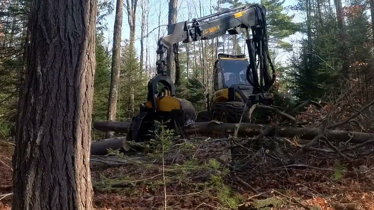Logger Mack Ponsse Ergo In Action!