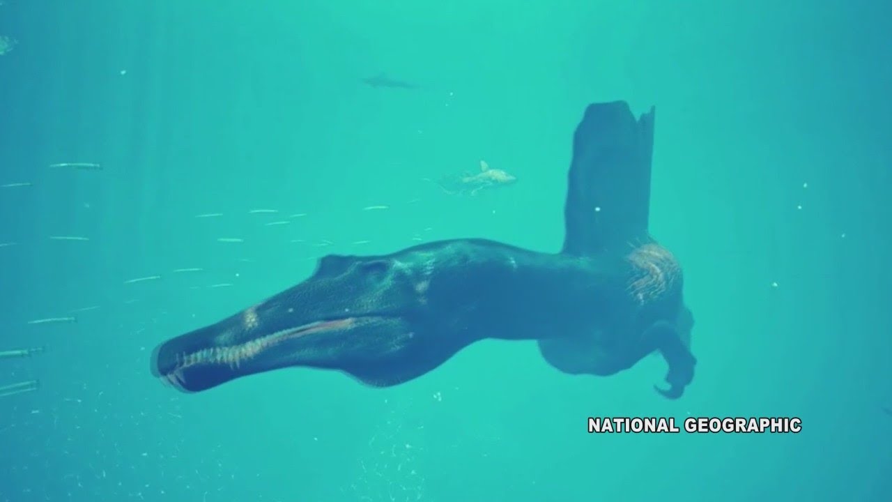 Chicago's Field Museum to welcome 'Spinosaurus'