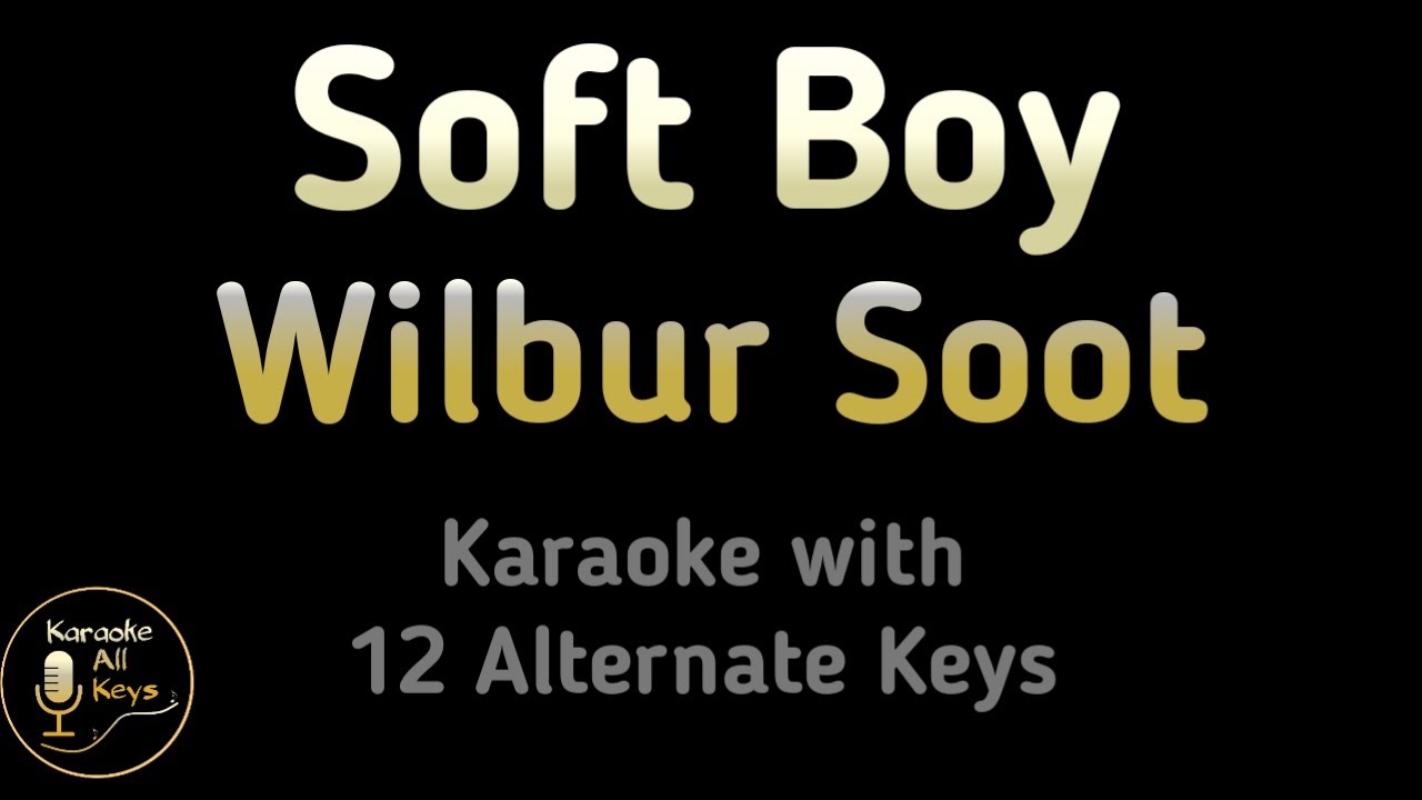 Soft Boy Karaoke - Wilbur Soot Instrumental Lower Higher Female Original Key