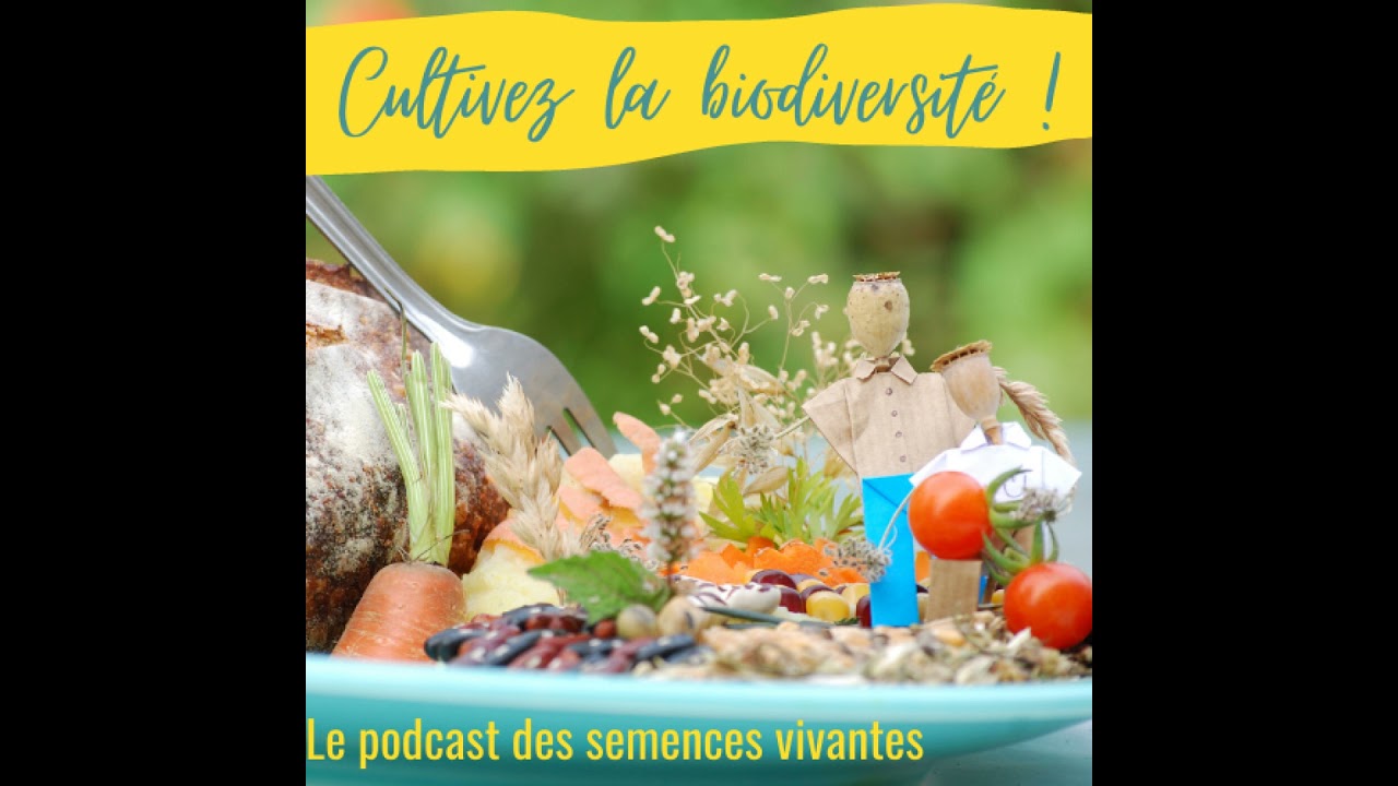 Ep28 Renc 21 - L’assocation Cultivons la Biodiversité en Poitou-Charentes : céréales, légumes et ...