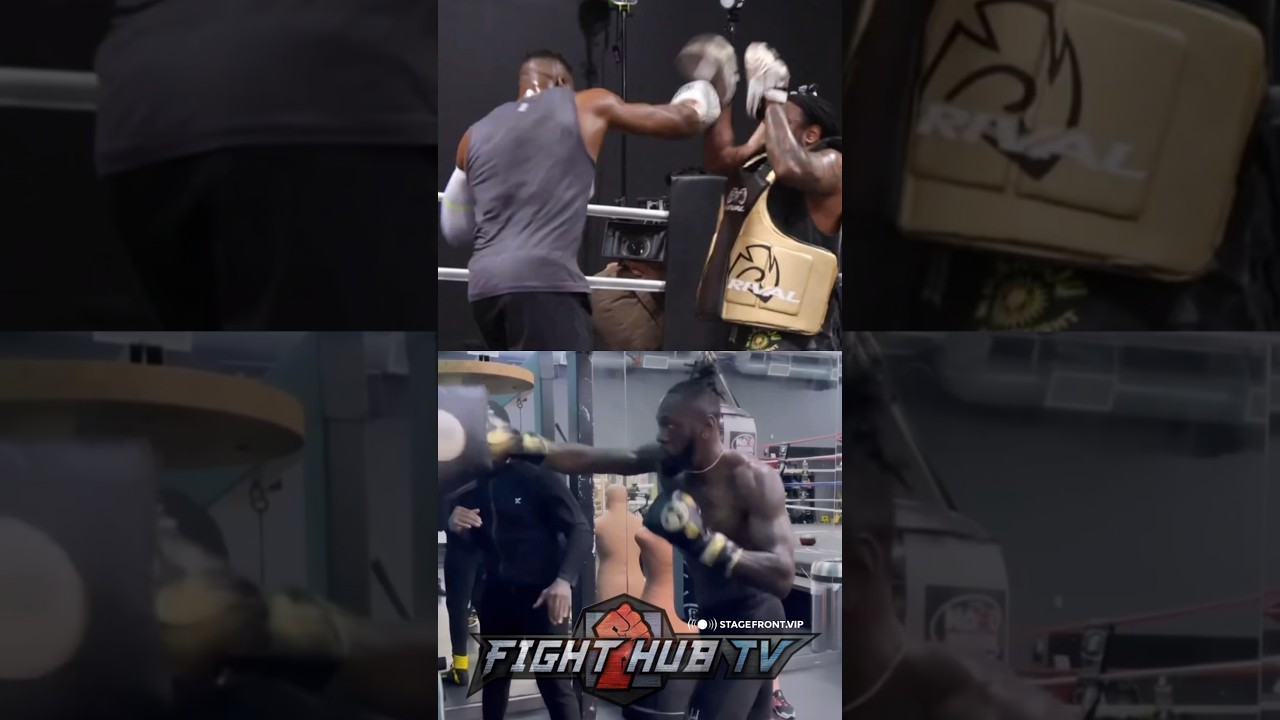 Ngannou vs Wilder POWER comparison - who hits HARDER?