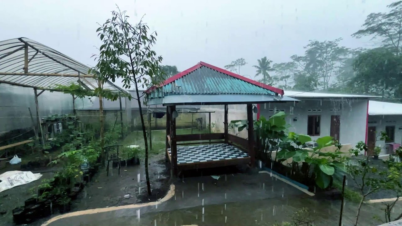 Calming Rain Sounds to Reduce Stress and Insomnia