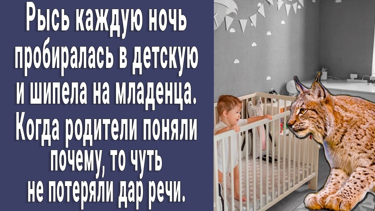 Рысь каждую ночь шипела на малыша. Когда родители поняли почему, потеряли дар речи