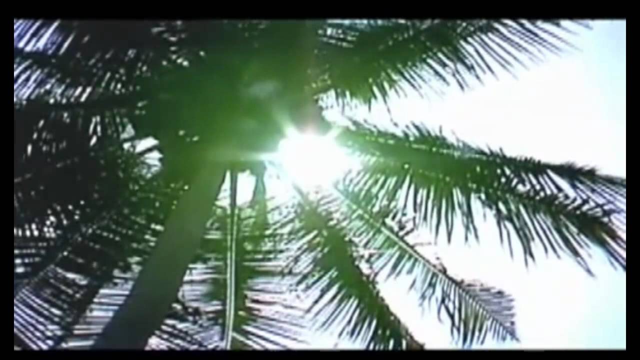 l'Islam [Documentario]