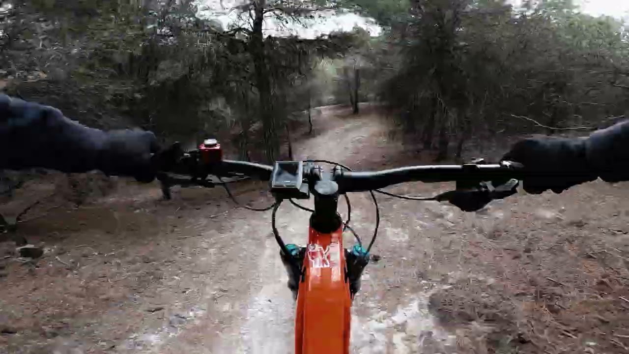 Orbea Wild ebike 2020 Freeride and Trails