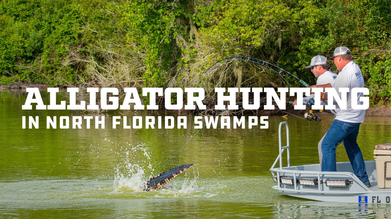 Mud Hole TV: Alligator Hunting in North Florida Swamps | Custom Fishing Rods Target Big Gator