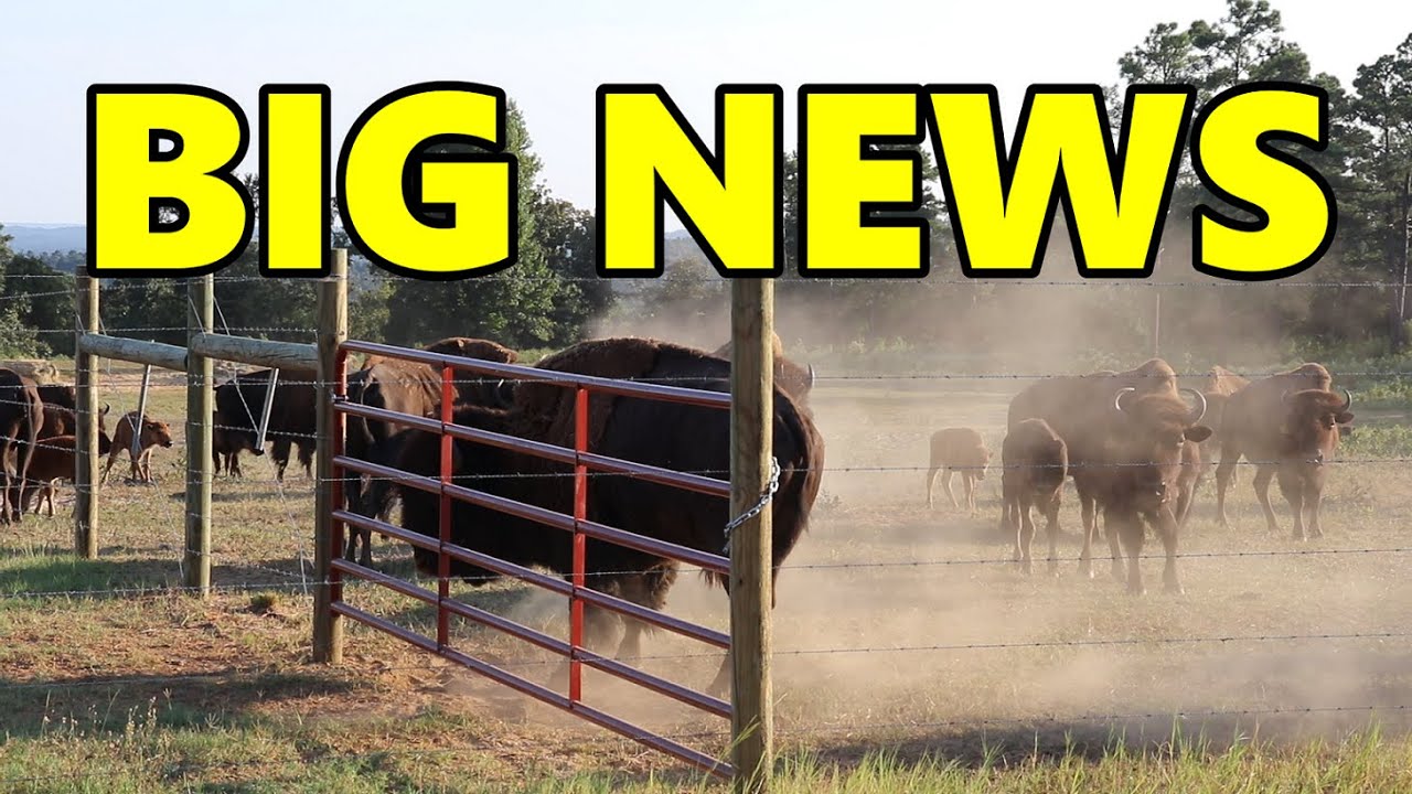 Ep. 109 - Weekend Ranch or Not? | Starting a Ranch | Blackacre Ranch