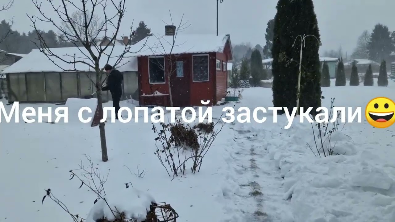 На дачу в Метель.